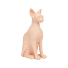 Eine glatte, blassrosa Sphynx-Katzenfigur ohne Fell mit dem Titel a pound of flesh, die in einer anmutigen Pose sitzt