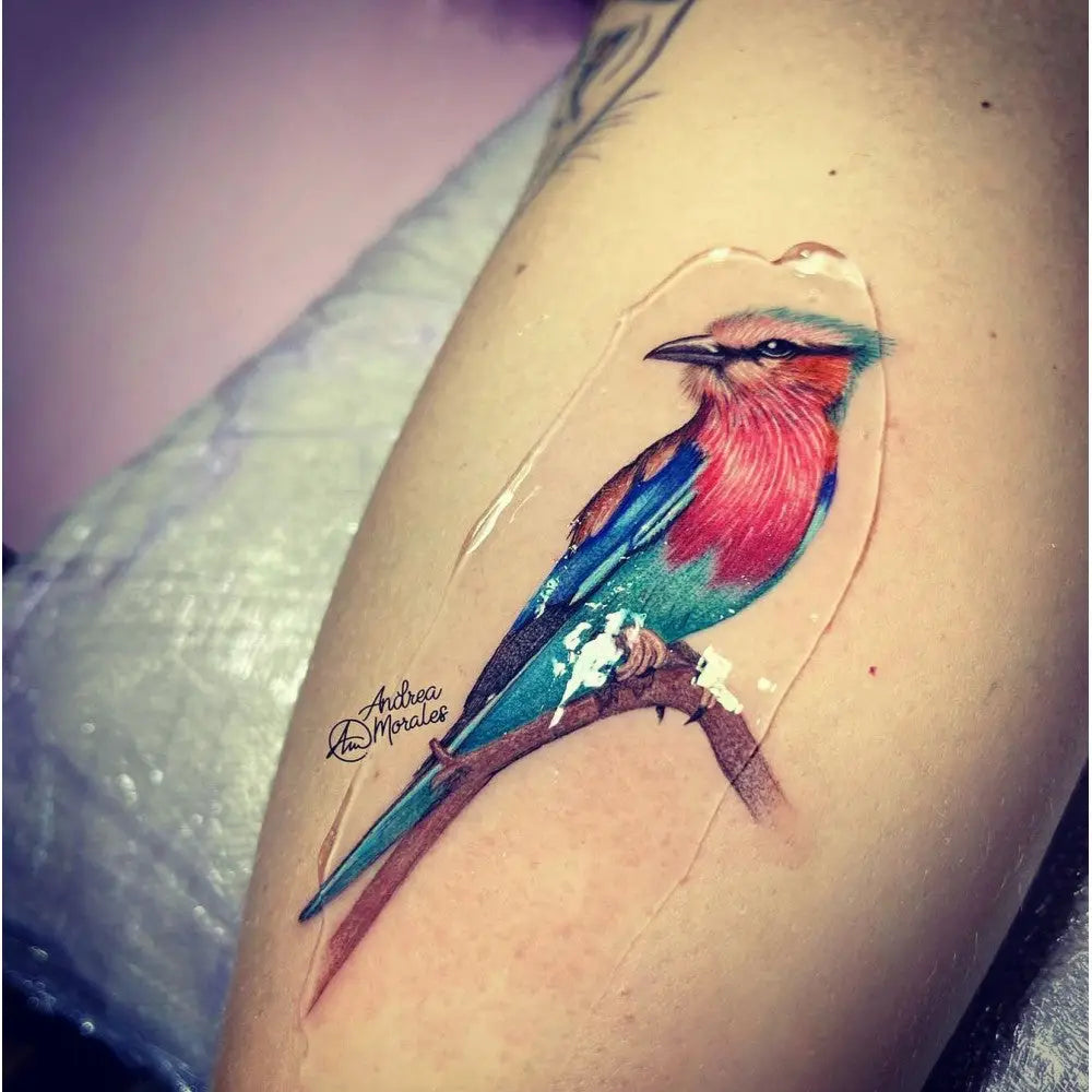 A vibrant watercolor bird tattoo with pink and blue plumage and teal accents on wings featured on proton photo finish 200ml